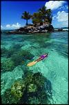 Pulsa en la imagen para verla en tamao completo

Nombre: Micronesia-diving-195x300.jpg
Visitas: 5
Tamao: 22.0 KB
ID: 5736