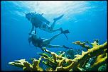 Pulsa en la imagen para verla en tamao completo

Nombre: Breezes-scuba-diving.jpg
Visitas: 2
Tamao: 204.5 KB
ID: 8486