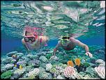 Pulsa en la imagen para verla en tamao completo

Nombre: barrera-de-coral.jpg
Visitas: 3
Tamao: 168.4 KB
ID: 6840