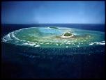 Pulsa en la imagen para verla en tamao completo

Nombre: La-gran-barrera-de-coral-300x225.jpg
Visitas: 3
Tamao: 14.8 KB
ID: 5739