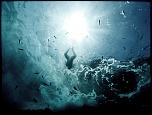 Pulsa en la imagen para verla en tamao completo

Nombre: Underwater-Photography26.jpg
Visitas: 37
Tamao: 82.1 KB
ID: 7143