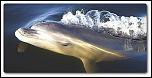 Pulsa en la imagen para verla en tamao completo

Nombre: delfinnewespecie.jpg
Visitas: 2
Tamao: 22.0 KB
ID: 9978