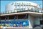 Pulsa en la imagen para verla en tamao completo

Nombre: Aquarium-Barcelon.jpg
Visitas: 1
Tamao: 27.3 KB
ID: 3499