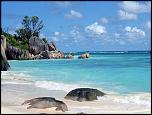 Pulsa en la imagen para verla en tamao completo

Nombre: turismo-Isla-Seychelles.jpg
Visitas: 2
Tamao: 40.4 KB
ID: 5607
