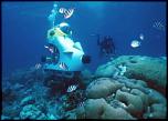 Pulsa en la imagen para verla en tamao completo

Nombre: Isla-Mauricio-minisubmarinos-430x306.jpg
Visitas: 10
Tamao: 28.5 KB
ID: 9331