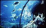 Pulsa en la imagen para verla en tamao completo

Nombre: aquarium%20barcel&#.jpg
Visitas: 1
Tamao: 33.2 KB
ID: 4308