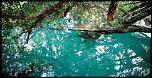 Pulsa en la imagen para verla en tamao completo

Nombre: cenote_coquitos-07.jpg
Visitas: 6
Tamao: 55.5 KB
ID: 8740
