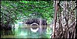 Pulsa en la imagen para verla en tamao completo

Nombre: manglares-cienaga-zapata.jpg
Visitas: 2
Tamao: 70.4 KB
ID: 8509