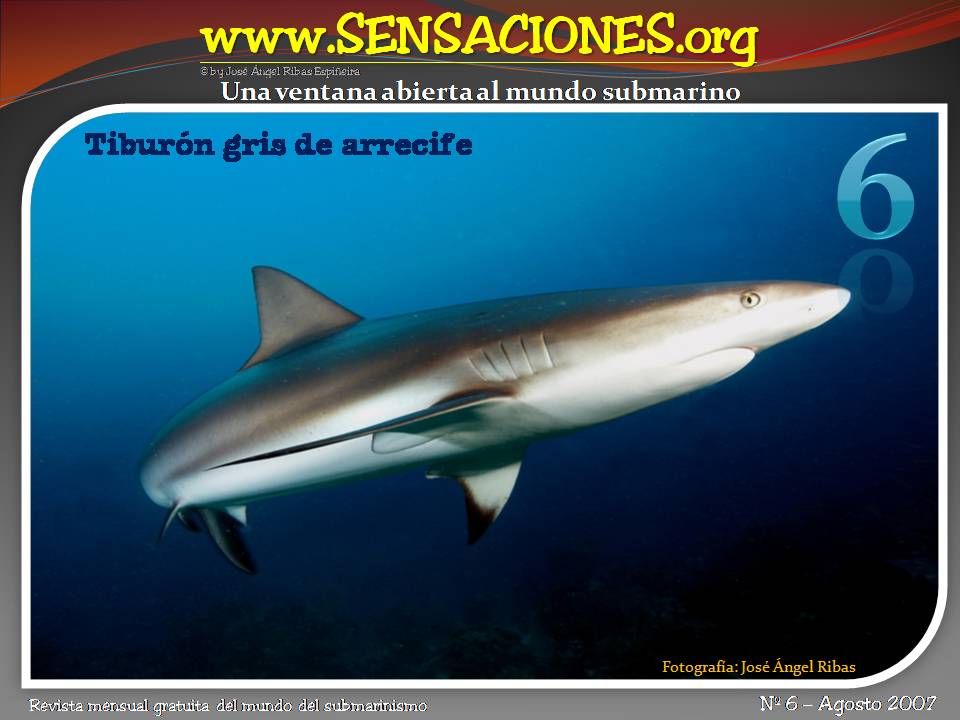 portada6.jpg